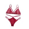 Hot Transparent Sexy Bra and Panty Lingerie Set - Image 2